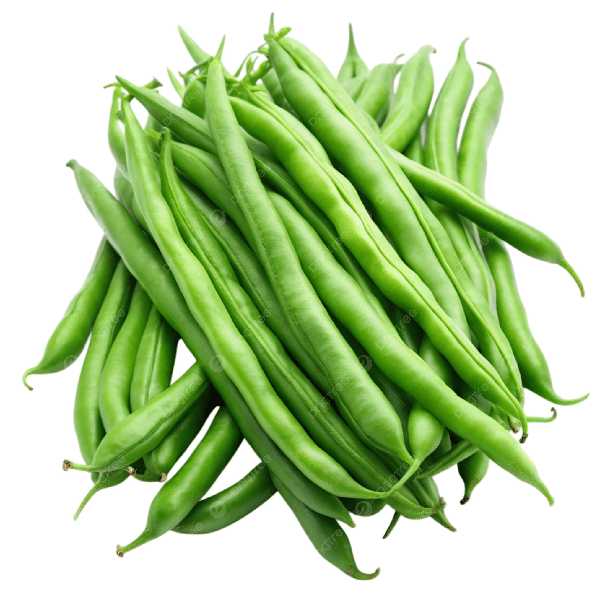 French Beans