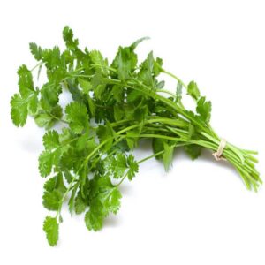 Coriander