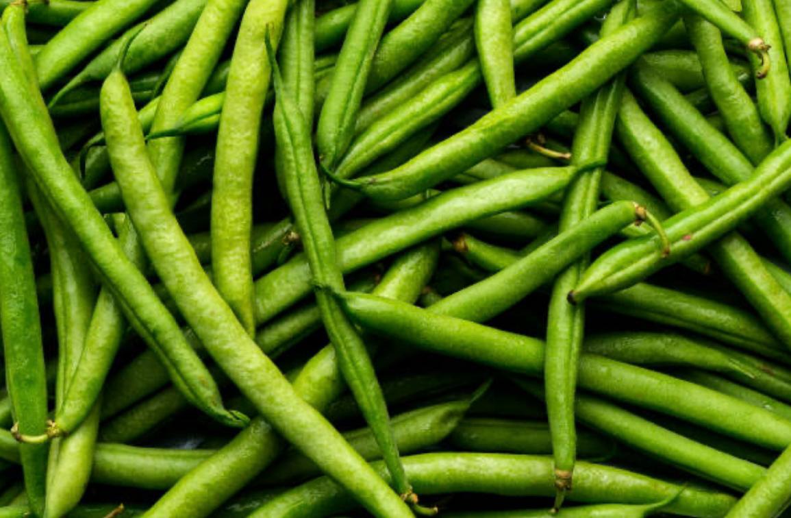 French Beans - Image 3