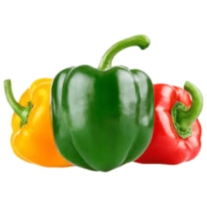 capsicum online
