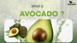 Avocado: Nutrition, Health Benefits, Types